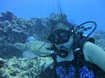 Hawaii Scuba divng 38