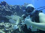 Hawaii Scuba divng 41