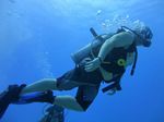 Hawaii Scuba divng 43