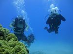 Hawaii Scuba divng 47