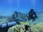 Hawaii Scuba divng 49