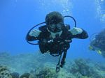 Hawaii Scuba divng 51