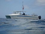 Hawaii Scuba divng 09