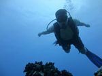 Hawaii Scuba divng 11