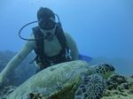 Hawaii Scuba divng 16