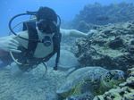 Hawaii Scuba divng 22