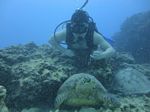 Hawaii Scuba divng 23