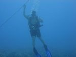 Hawaii Scuba divng 39