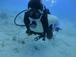 Hawaii Scuba divng 44