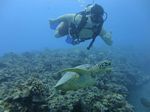 Hawaii Scuba divng 53