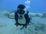 Hawaii Scuba divng 57