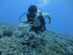 Hawaii Scuba divng 62