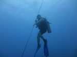 Hawaii Scuba divng 66