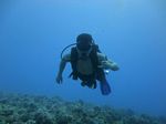 Hawaii Scuba divng 06