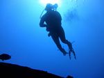 Hawaii Scuba divng 17