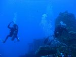 Hawaii Scuba divng 19