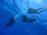 Hawaii Scuba divng 34