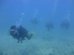 Hawaii Scuba divng 36