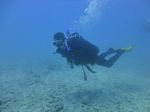 Hawaii Scuba divng 37