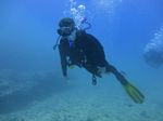 Hawaii Scuba divng 39