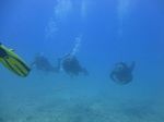 Hawaii Scuba divng 40