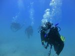 Hawaii Scuba divng 41