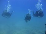 Hawaii Scuba divng 42