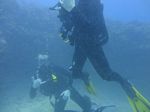 Hawaii Scuba divng 48