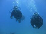 Hawaii Scuba divng 51