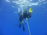 Hawaii Scuba divng 06