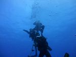 Hawaii Scuba divng 08