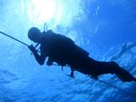 Hawaii Scuba divng 19