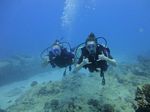 Hawaii Scuba divng 21