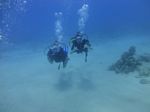 Hawaii Scuba divng 24