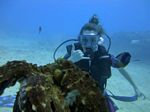 Hawaii Scuba divng 40