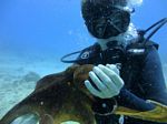 Hawaii Scuba divng 46