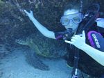 Hawaii Scuba divng 51