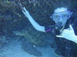 Hawaii Scuba divng 52