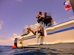 Hawaii Scuba divng 05