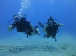 Hawaii Scuba divng 61