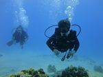 Hawaii Scuba divng 63