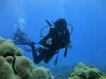 Hawaii Scuba divng 65