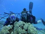 Hawaii Scuba divng 66