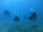 Waikiki scuba 18