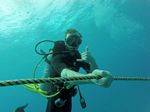 Hawaii Scuba divng 10