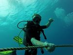 Hawaii Scuba divng 12