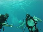 Hawaii Scuba divng 14