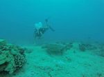 Hawaii Scuba divng 24