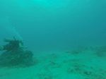 Hawaii Scuba divng 47