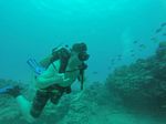 Hawaii Scuba divng 53